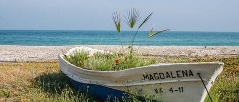 Playa en los alrededores
