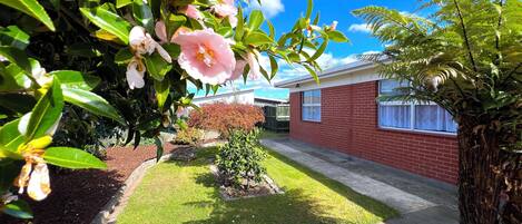 Zona residencial con una casa de ladrillo, césped bien cuidado y una variedad de plantas, incluyendo árboles con flores y un helecho.