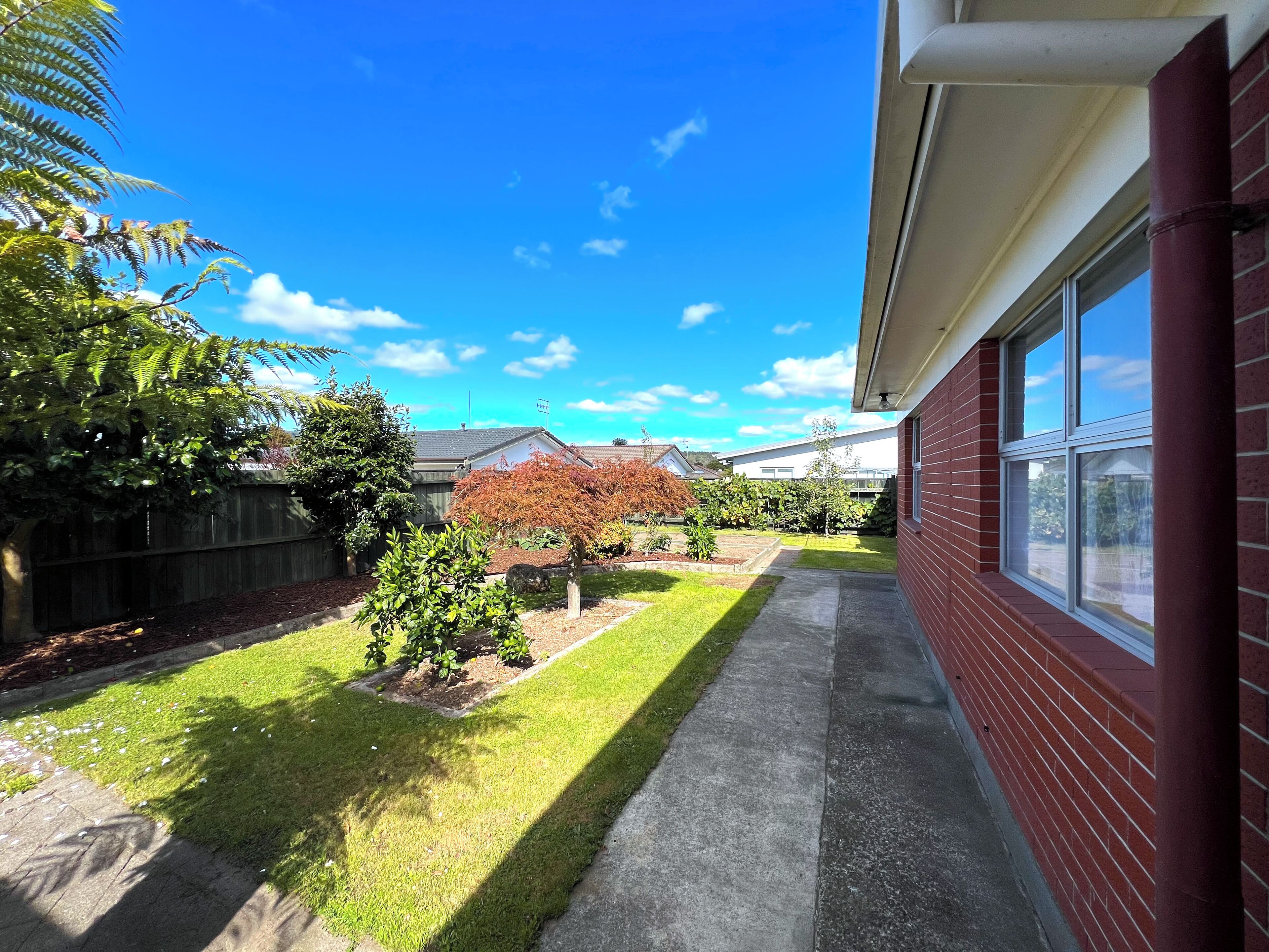 Un patio trasero residencial con césped, un árbol pequeño y una casa de ladrillo.