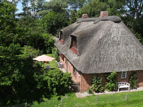Idyllisches Reetdachhhaus direkt am Eiderdeich fĂŒr 2 bis 10 Personen