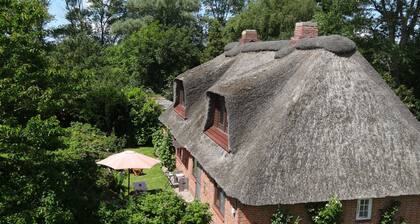 Idyllic thatched house directly on the Eider dike for 2 to 10 people