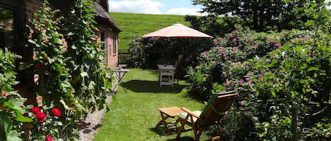 Terras