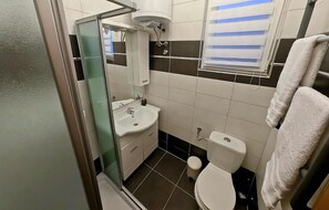 Shower, hair dryer