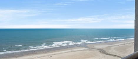 Tæt på stranden