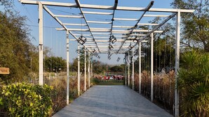Ein überdachter Gang mit einer Pergola, umgeben von Pflanzen und Stühlen.