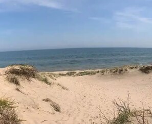 Camastros y toallas de playa 