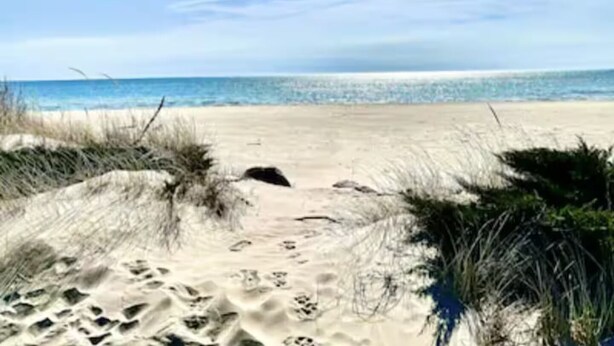 A beach path leading to the ocean with clear skies and gentle waves.