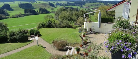 المنطقة المحيطة بالمنشأة