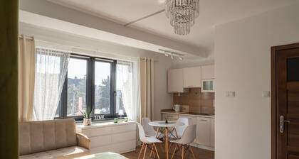 Przytulny apartament KOLEJOVA 13
