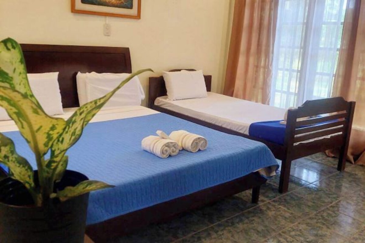 A hotel room with two beds, a potted plant, and a chair.