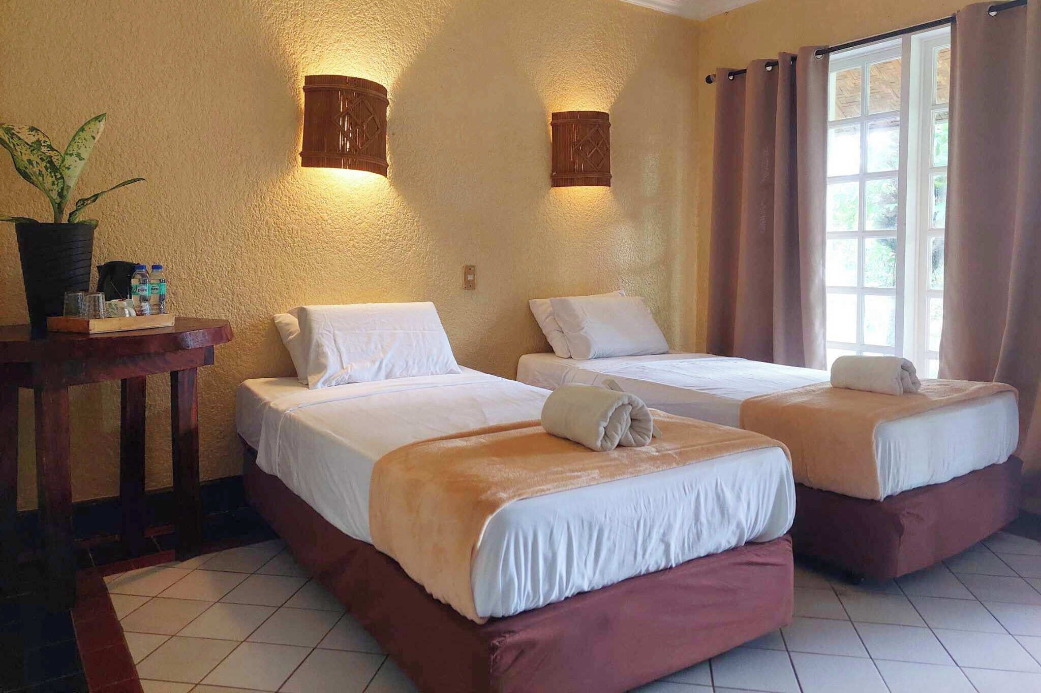 Ein Hotelzimmer mit zwei Betten, einem kleinen Tisch mit einer Pflanze und einem Fenster mit Vorhängen.