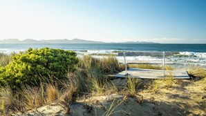 A beach with a wooden bench and a small bush in the foreground. - Nine Mile Beach House - Holiday Houses Tasmania (Glamorgan-Spring Bay)