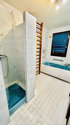 Shower, hair dryer, towels