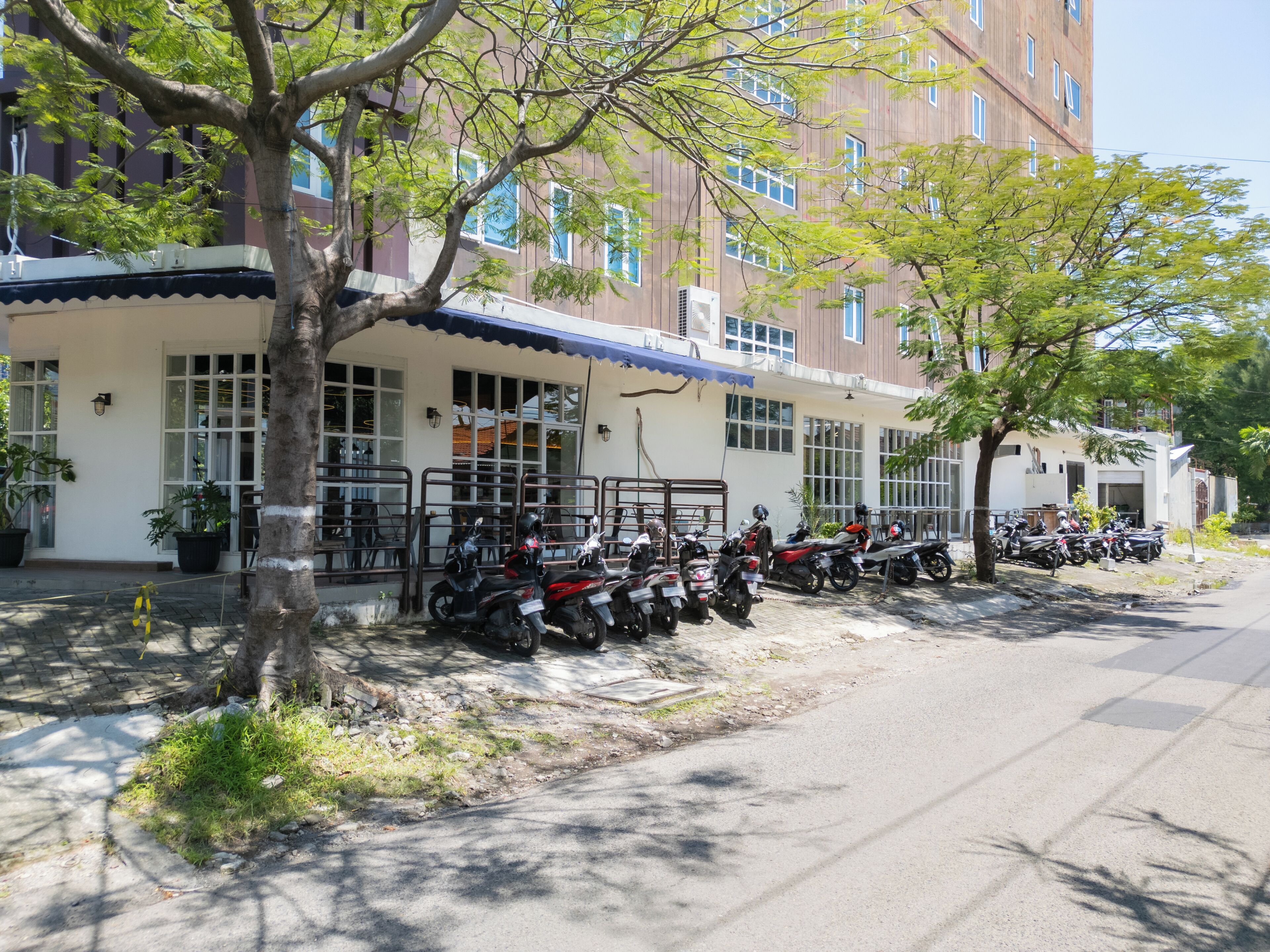 A building with a row of parked motorcycles, a tree in the foreground, and a paved sidewalk.