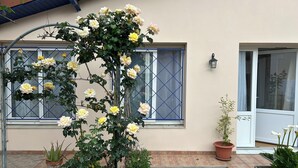 A garden with a climbing rose bush, potted plants, and a wooden planter box.
