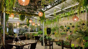 An indoor space with tables and chairs, hanging plants, and wicker lamps. - Hotel Halo Angeles City (Angeles City)