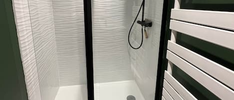 Shower, hair dryer, towels, toilet paper