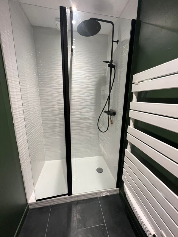 Shower, hair dryer, towels, toilet paper