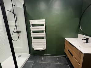 Shower, hair dryer, towels, toilet paper