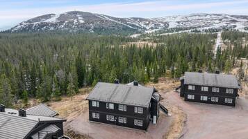 En stuga i två våningar med ett tak av metall, omgiven av en skog och med ett berg i bakgrunden.