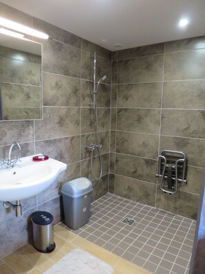 Douche, sèche-cheveux, serviettes fournies, savon