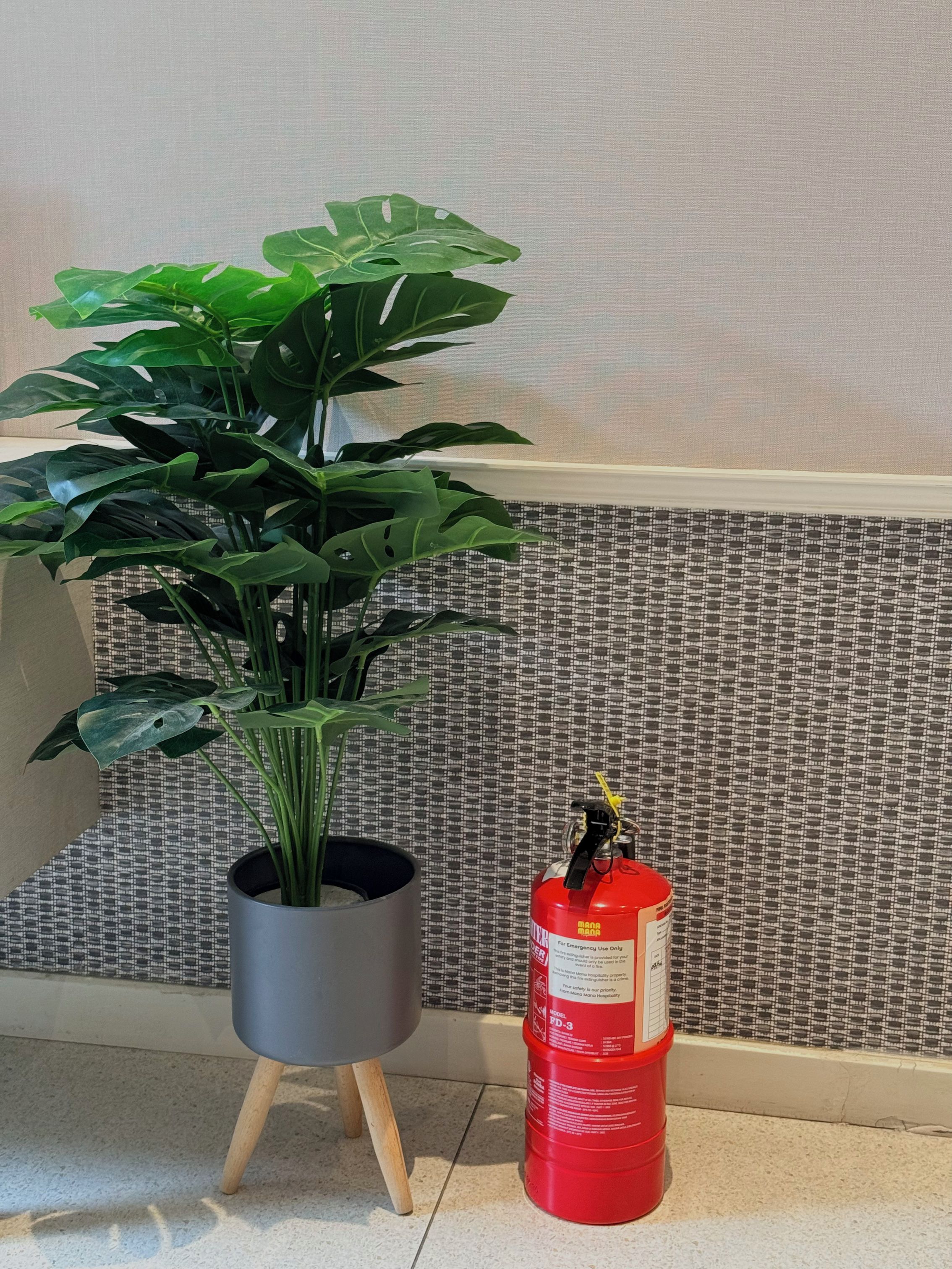Una planta en maceta junto a un extintor rojo sobre un piso de baldosas.