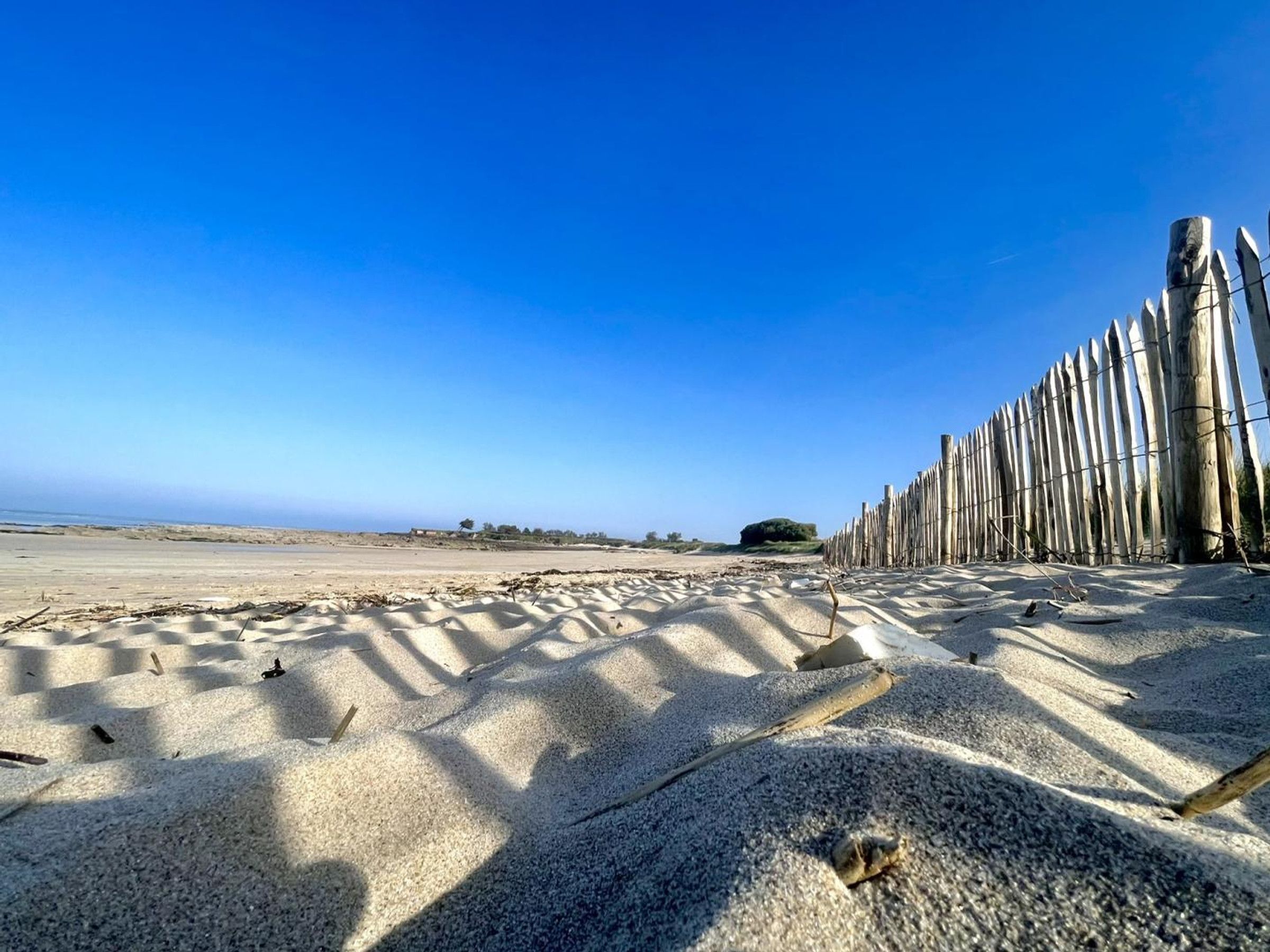 Une plage de sable bordée d’une clôture en bois, sous un ciel bleu et dégagé.