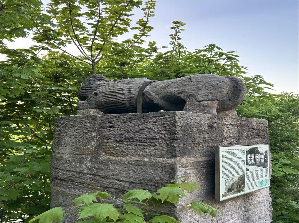 الإطلالة من المنشأة