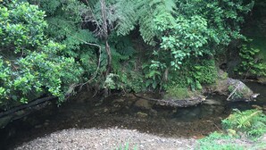 Eine natürliche Landschaft mit einem Bach, dichtem Grün und einem felsigen Vordergrund.