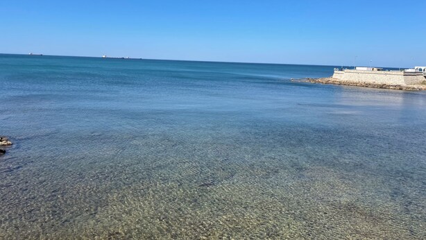 A clear view of a beach with calm waters and a distant ship.