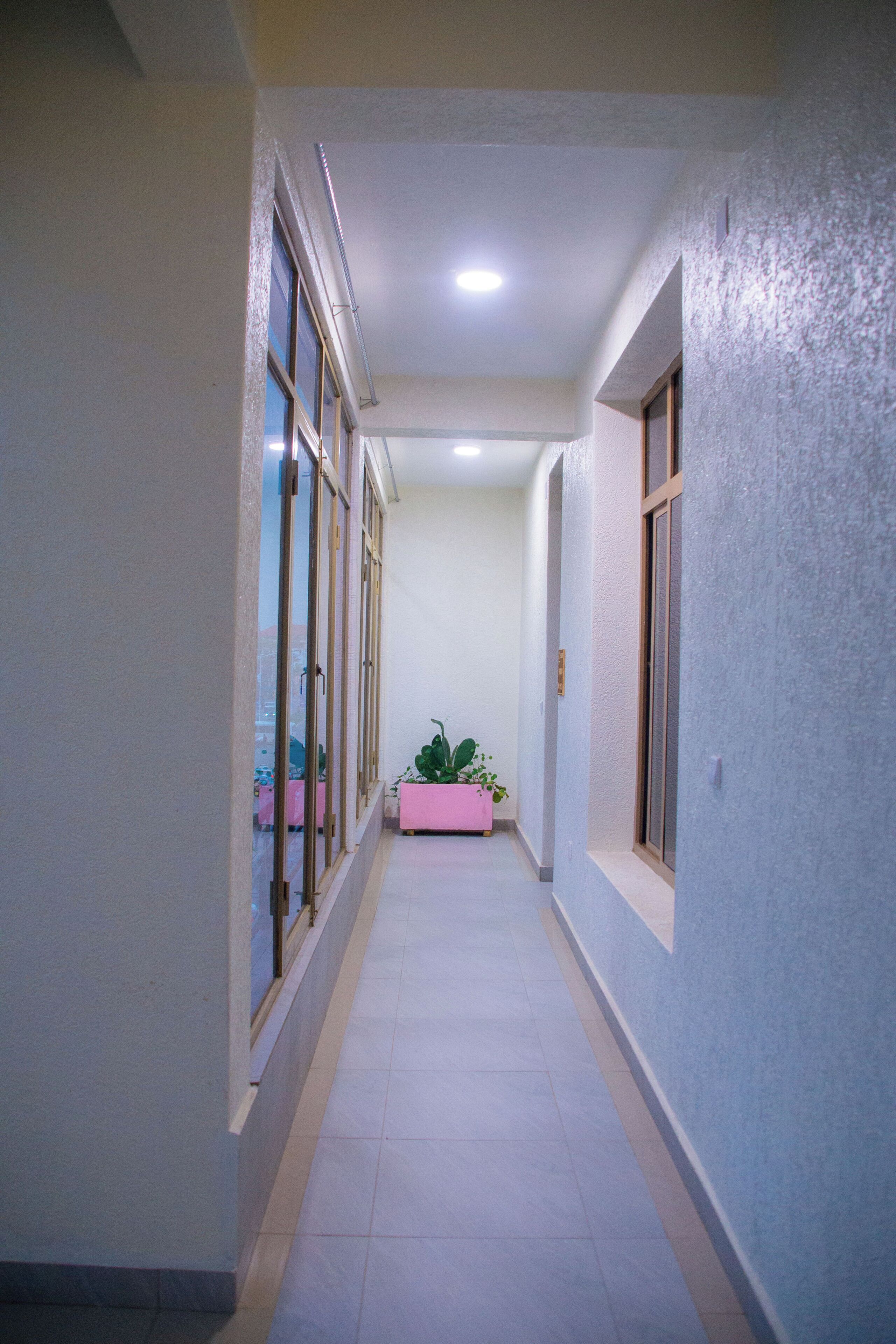 A narrow hallway with a pink planter, large windows, and a ceiling light.