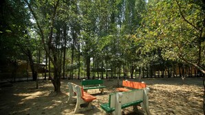 Un parc avec des bancs et des arbres.
