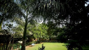 Un jardin luxuriant avec une pelouse verdoyante, un palmier et un banc.