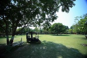A park with a tree, a bench, and a three-wheeled vehicle.