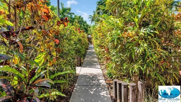 A pathway flanked by lush tropical foliage, leading to a wooden fence.