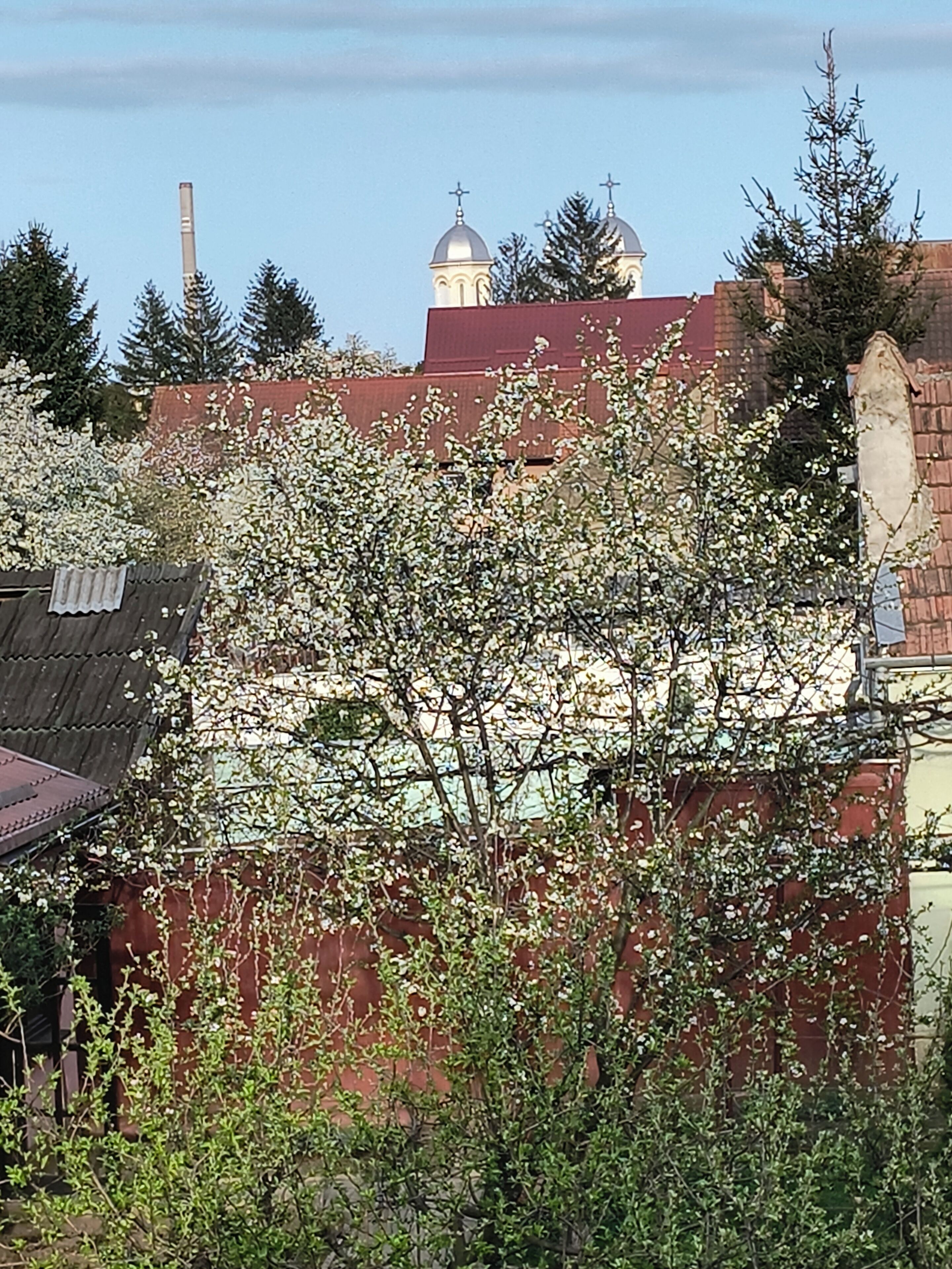 A building with a red roof, a white dome, and a cross on top.