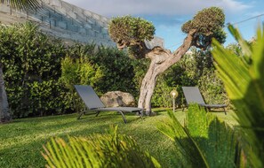 Ein Garten mit zwei Liegestühlen, einem großen Baum und einer Steinmauer.