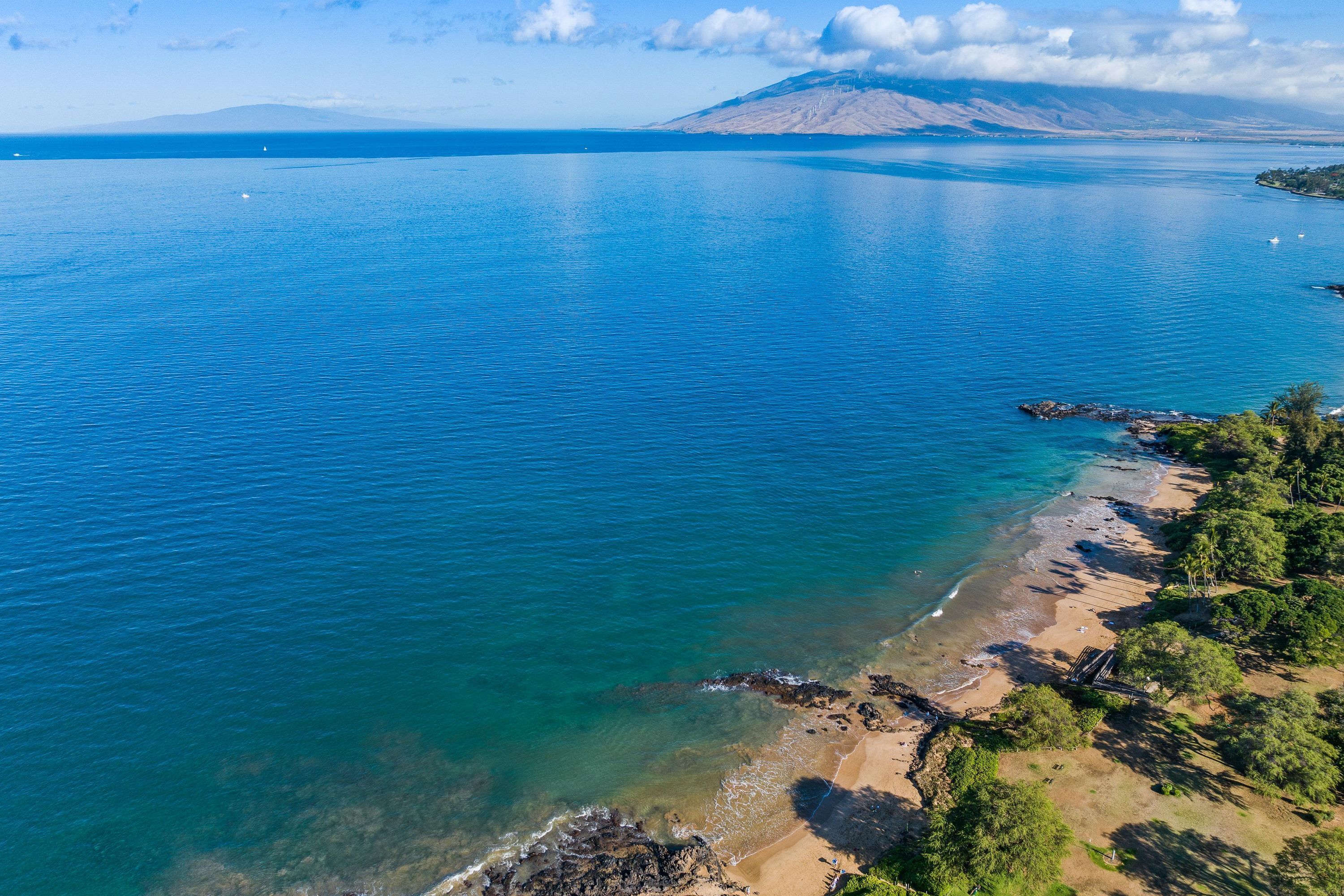 Apartment | 1 bedroom, Internet