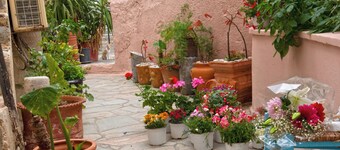 阿里奥诺斯房间