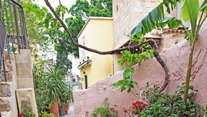 A narrow stone-paved alley with potted plants and flowers lining the path. - Arionos Rooms (Rhodes)