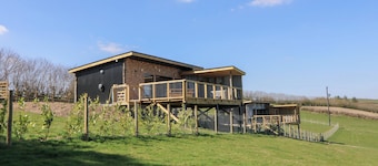 Bryn Hafod