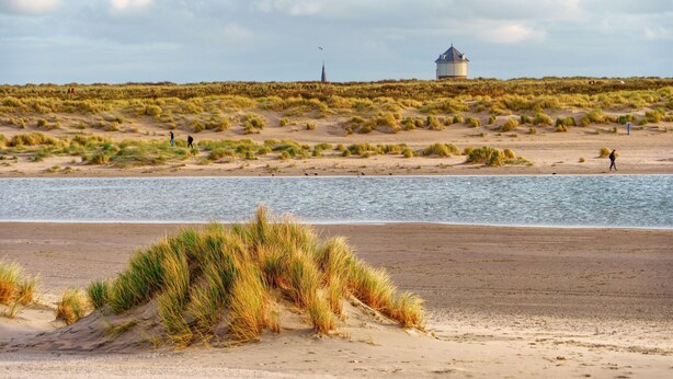 A coastal landscape with a sandy beach, grassy dunes, and a body of water. - Seafront Palm Beach Stay (Knokke-Heist)