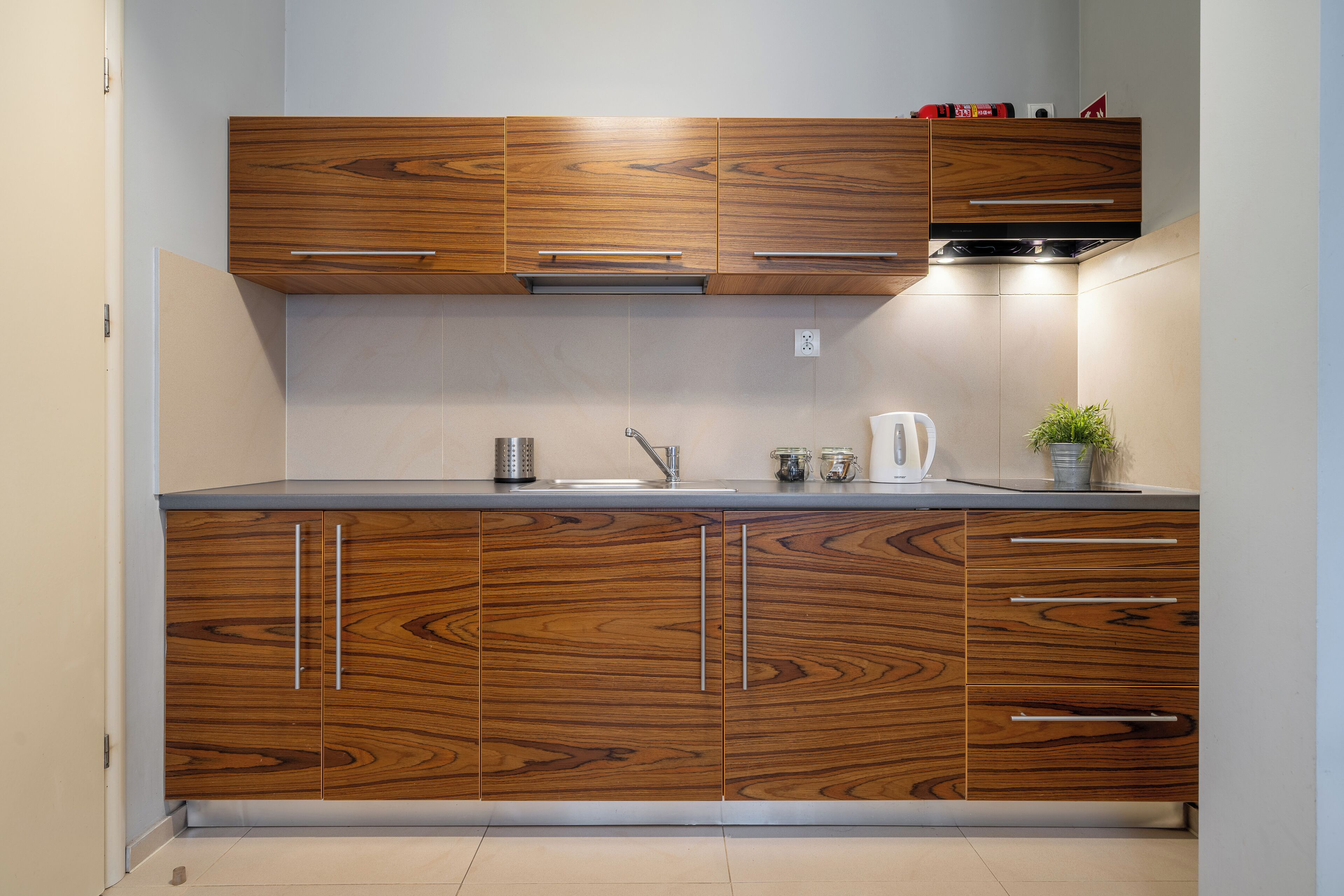 Una cocina moderna con armarios de madera, un lavamanos de acero inoxidable y una planta en maceta.