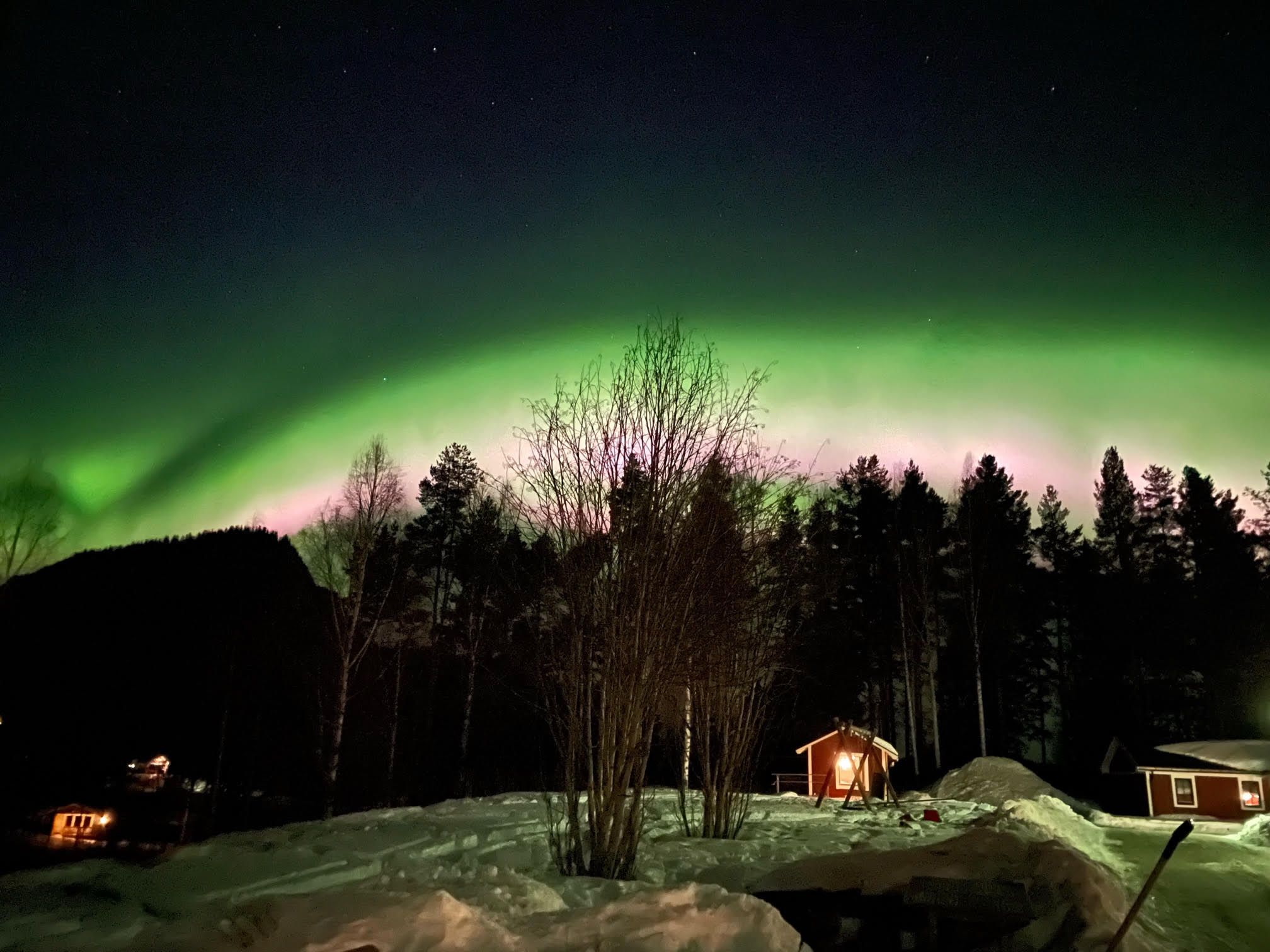 A snow-covered landscape with a small cabin and a forest in the background under a night sky with the aurora borealis.