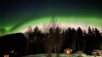 A snow-covered landscape with a small cabin and a forest in the background under a night sky with the aurora borealis.