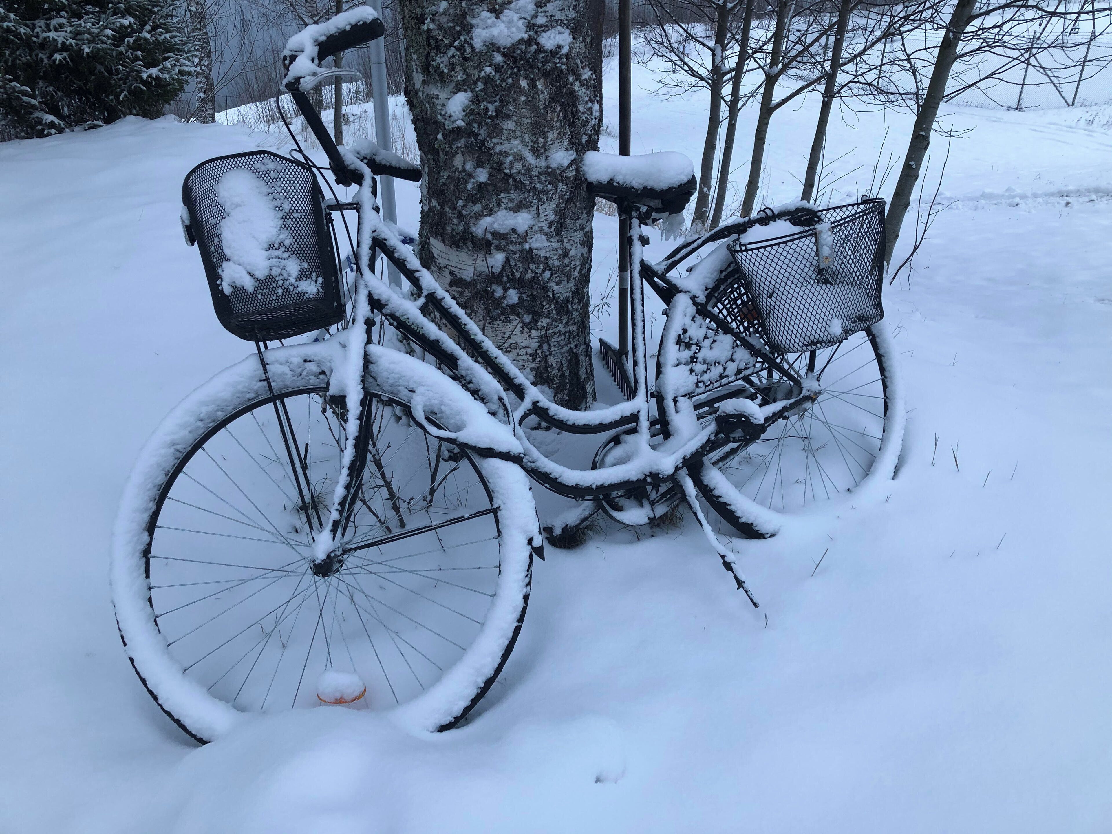 基础村舍, 山景 | 客房景观