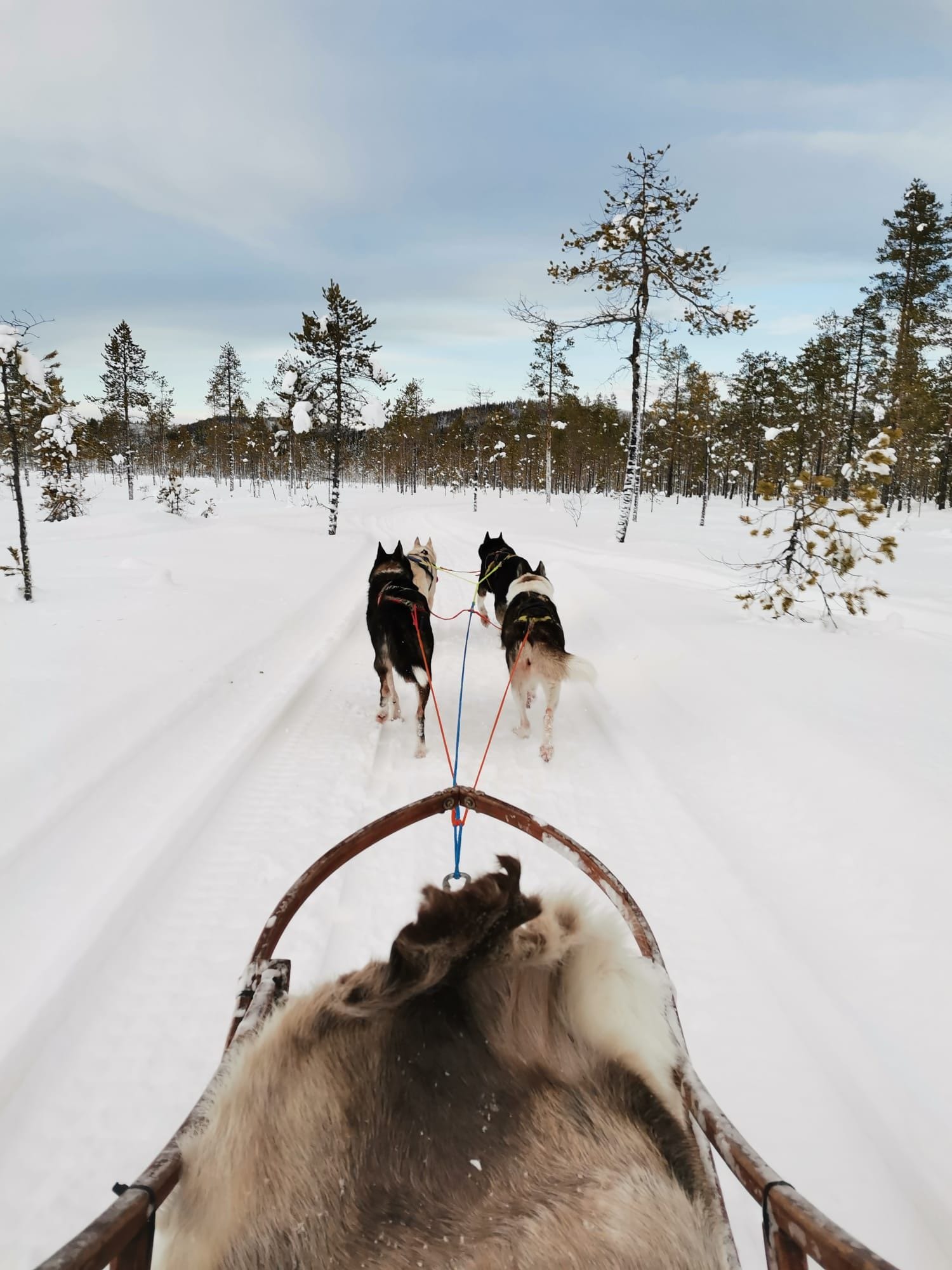 Snøscooterkjøring