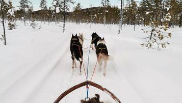 Snøscooterkjøring