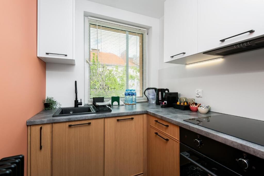 Superior Apartment, City View | Private kitchen | Full-size fridge, microwave, oven, stovetop