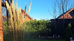 A garden with tall grasses and a brick building in the background.